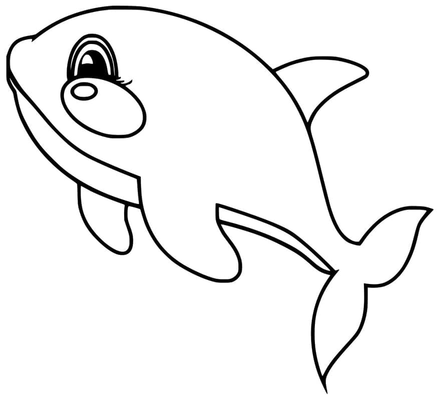 Free printable Orca coloring page #213456 from Animals collection