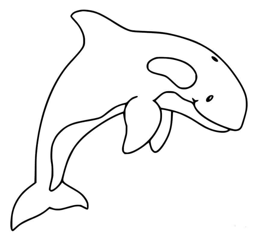 Free printable Orca coloring page #213464 from Animals collection
