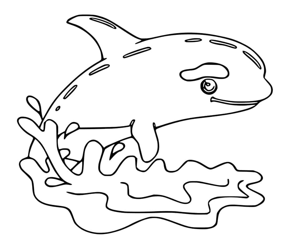 Free printable Orca coloring page #213468 from Animals collection