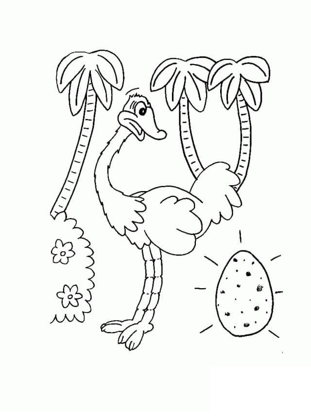 Free printable Ostrich coloring page #204548 from Animals collection Free printable Ostrich coloring page #204548 from Animals collection