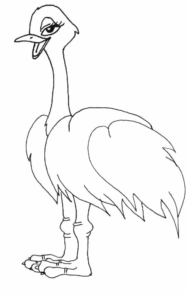 Coloring page: Ostrich (Animals) #676 - Free Printable Coloring Pages