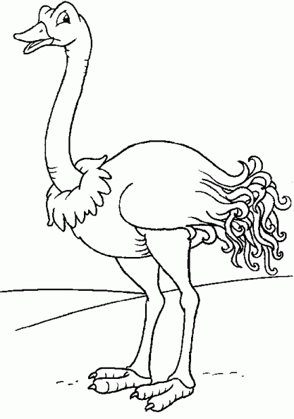 Coloring page: Ostrich (Animals) #677 - Free Printable Coloring Pages