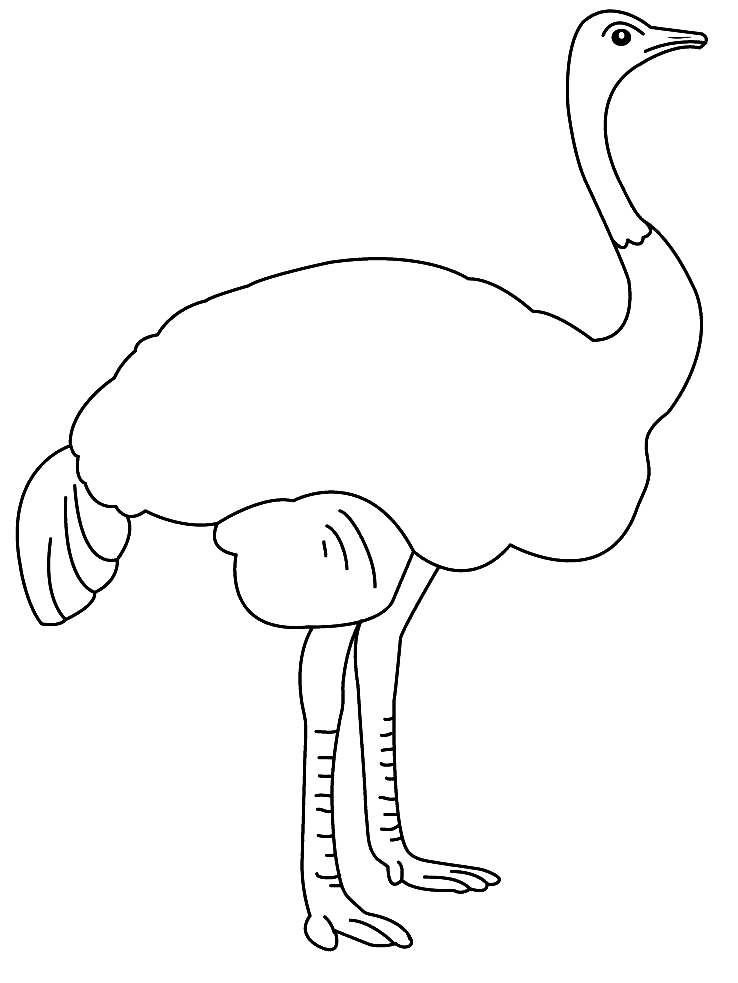 Coloring page: Ostrich (Animals) #679 - Free Printable Coloring Pages
