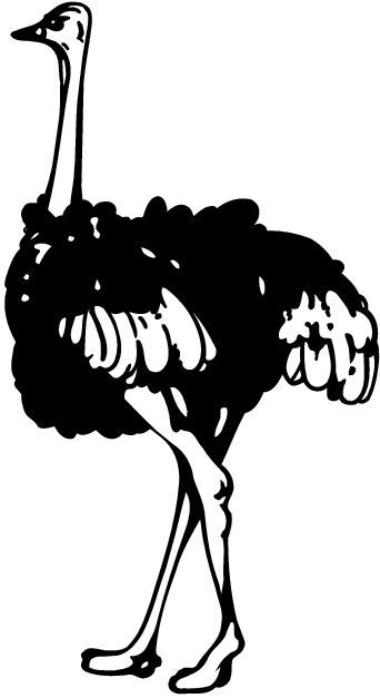 Coloring page: Ostrich (Animals) #725 - Free Printable Coloring Pages