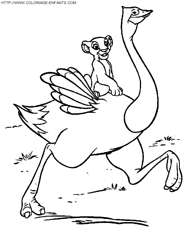 Coloring page: Ostrich (Animals) #737 - Free Printable Coloring Pages