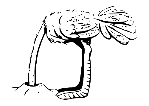 Coloring page: Ostrich (Animals) #748 - Free Printable Coloring Pages