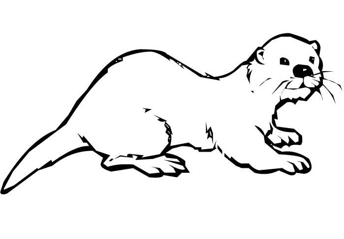 Coloring page: Otter (Animals) #10639 - Free Printable Coloring Pages