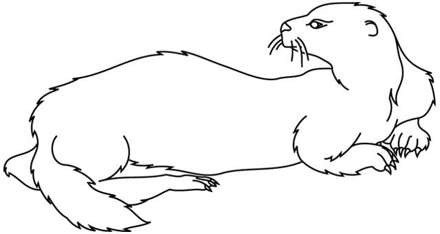Coloring page: Otter (Animals) #10641 - Free Printable Coloring Pages