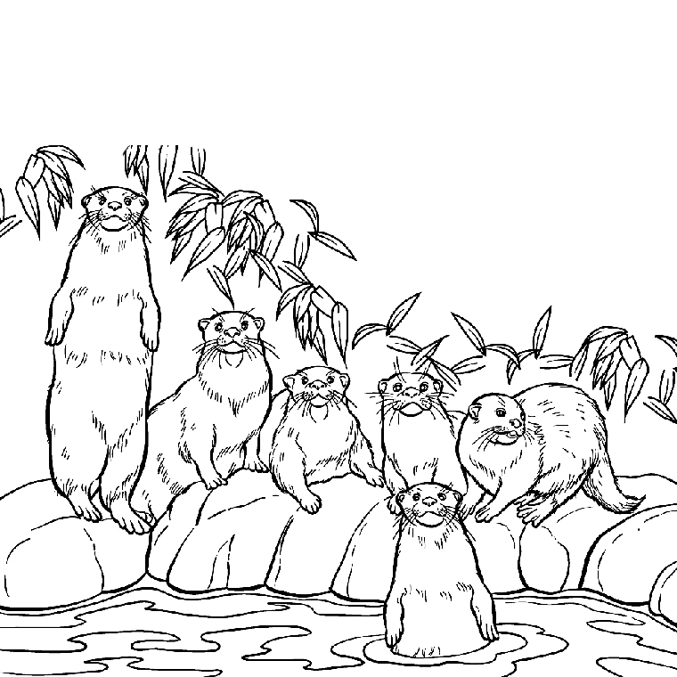 Coloring page: Otter (Animals) #10644 - Free Printable Coloring Pages