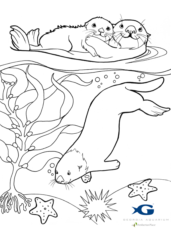 Coloring page: Otter (Animals) #10645 - Free Printable Coloring Pages