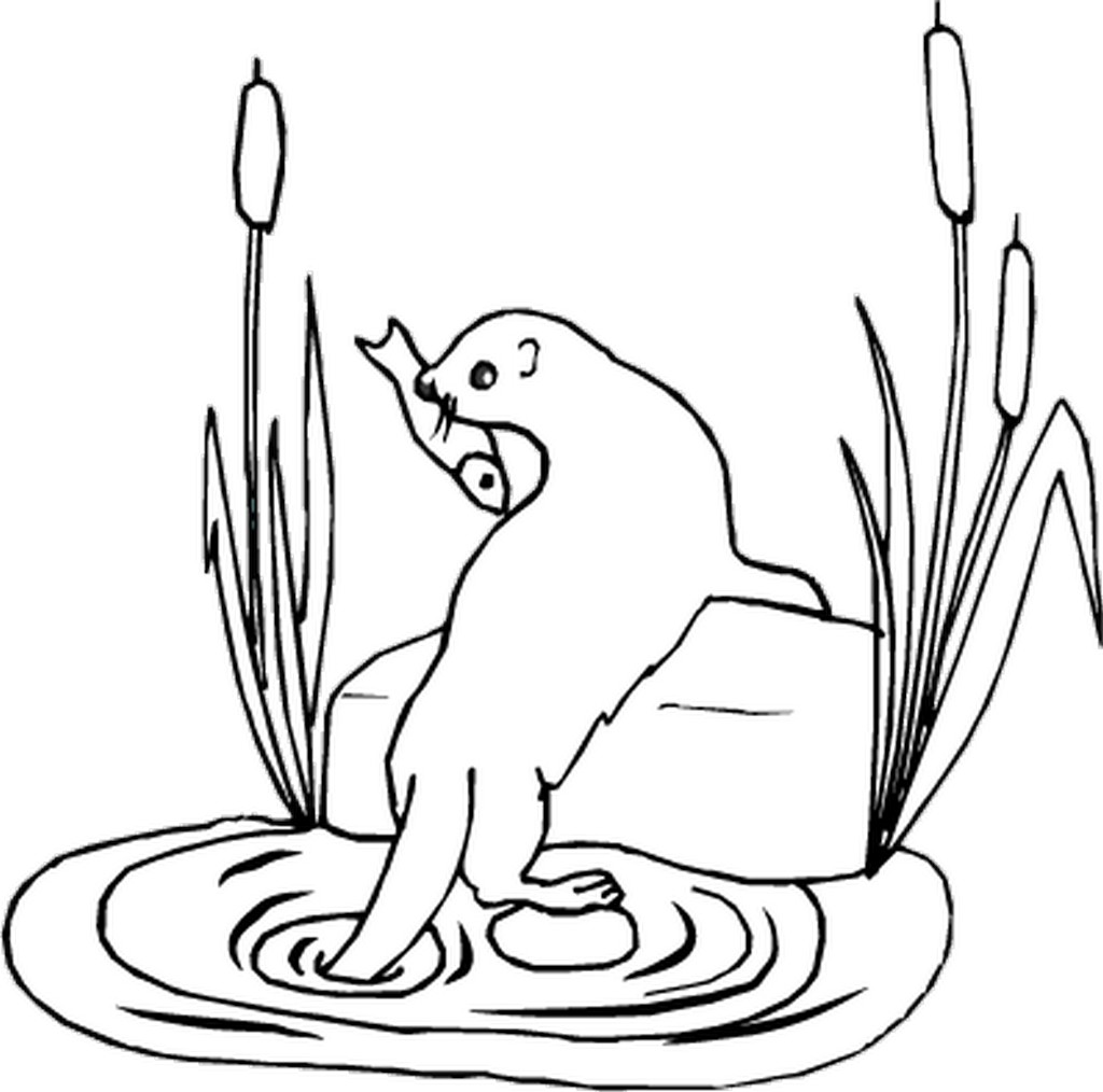 Coloring page: Otter (Animals) #10652 - Free Printable Coloring Pages