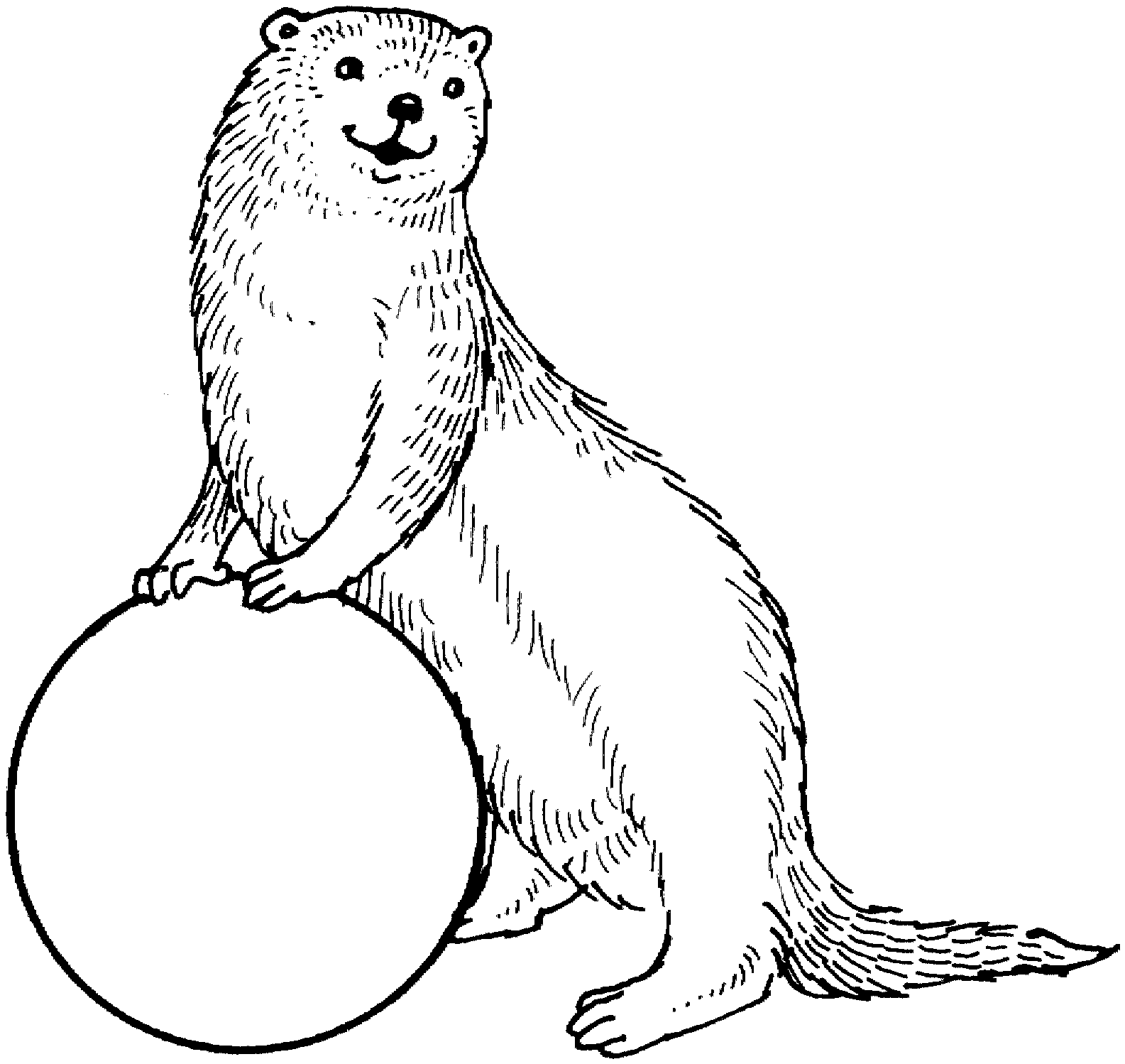 Coloring page: Otter (Animals) #10655 - Free Printable Coloring Pages