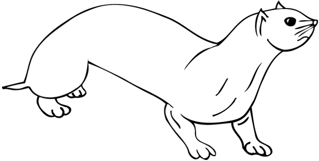 Coloring page: Otter (Animals) #10663 - Free Printable Coloring Pages