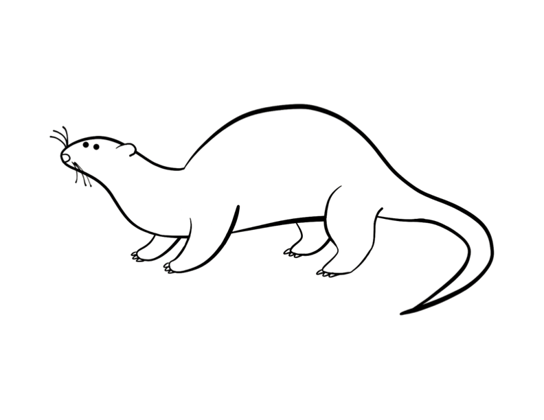 Coloring page: Otter (Animals) #10680 - Free Printable Coloring Pages