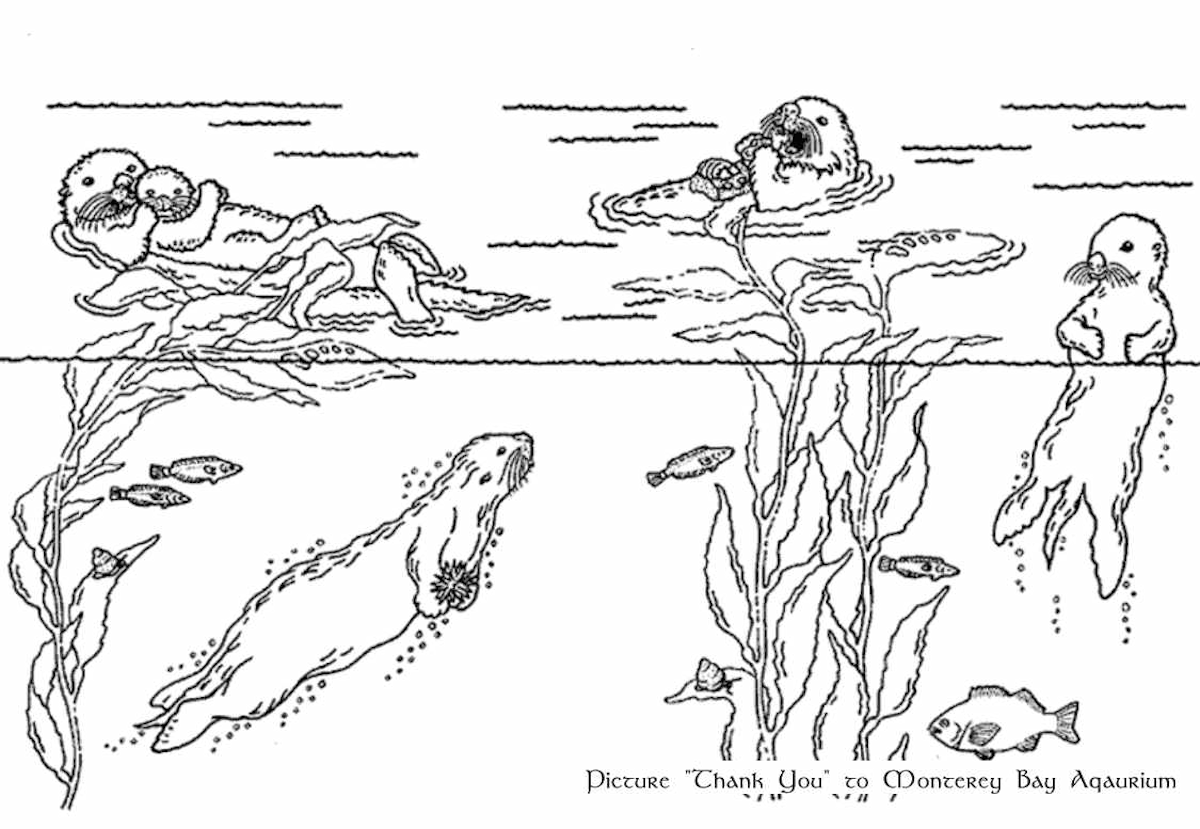 Coloring page: Otter (Animals) #10699 - Free Printable Coloring Pages