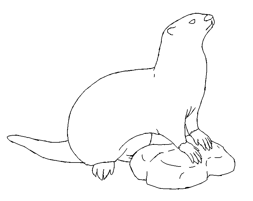 Coloring page: Otter (Animals) #10700 - Free Printable Coloring Pages