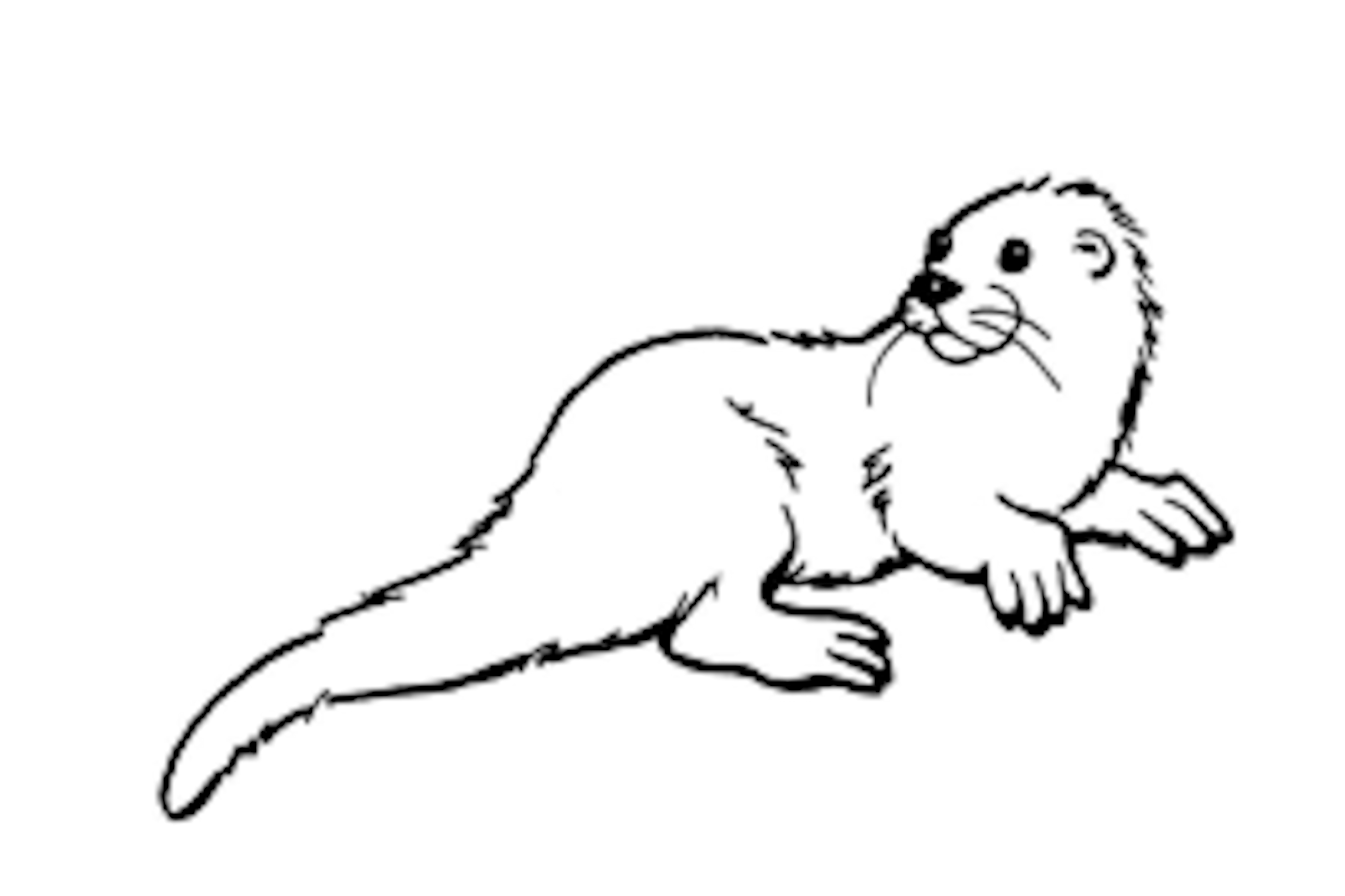 Coloring page: Otter (Animals) #10735 - Free Printable Coloring Pages