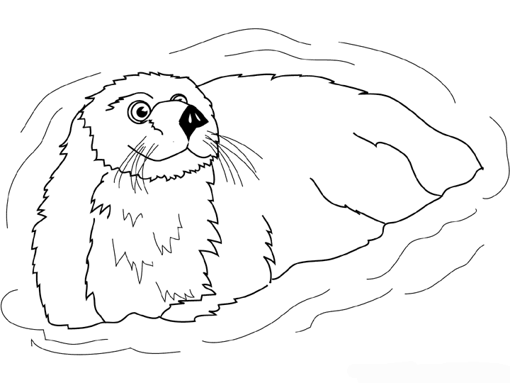 Coloring page: Otter (Animals) #10762 - Free Printable Coloring Pages