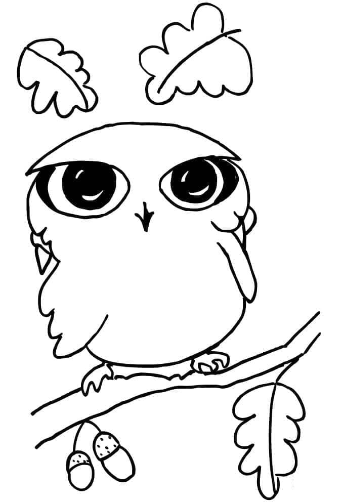 Free printable Owl coloring page #178825 from Animals collection