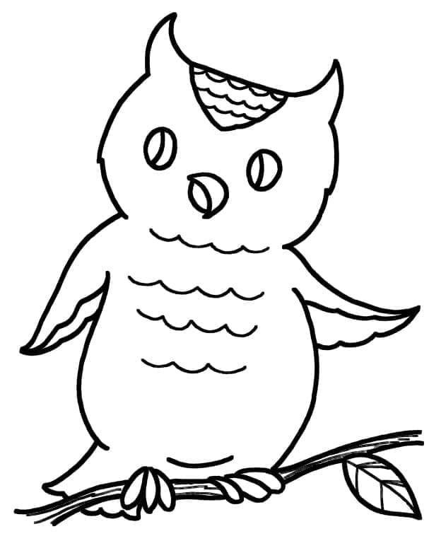 Free printable Owl coloring page #178829 from Animals collection Free printable Owl coloring page #178829 from Animals collection