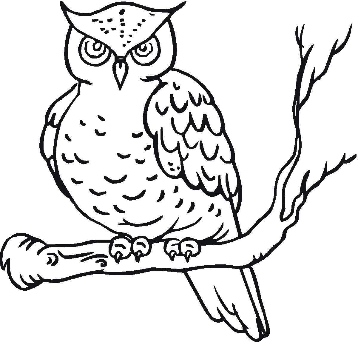 Coloring page: Owl (Animals) #8411 - Free Printable Coloring Pages