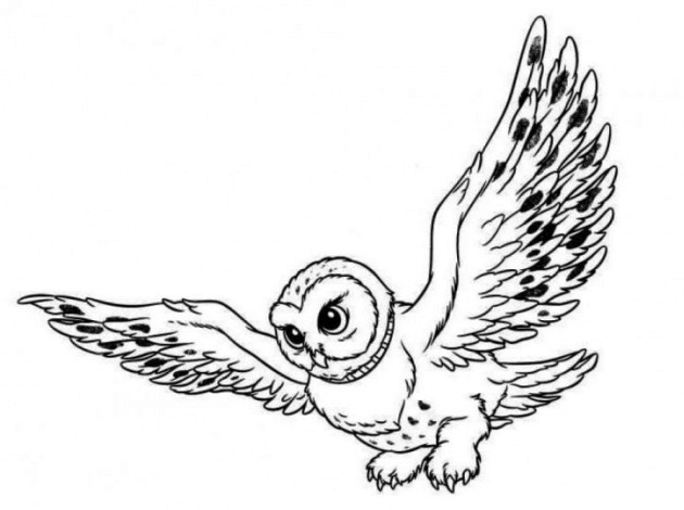 Coloring page: Owl (Animals) #8414 - Free Printable Coloring Pages