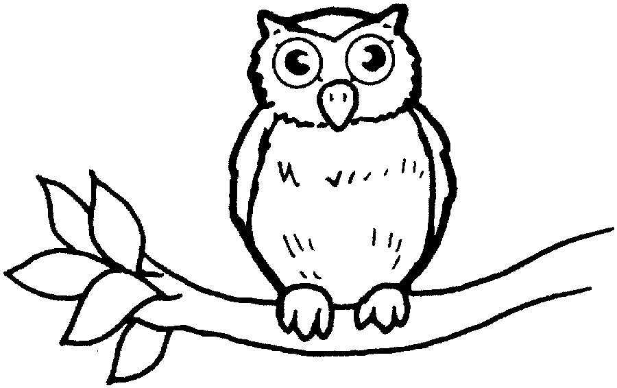 Coloring page: Owl (Animals) #8417 - Free Printable Coloring Pages