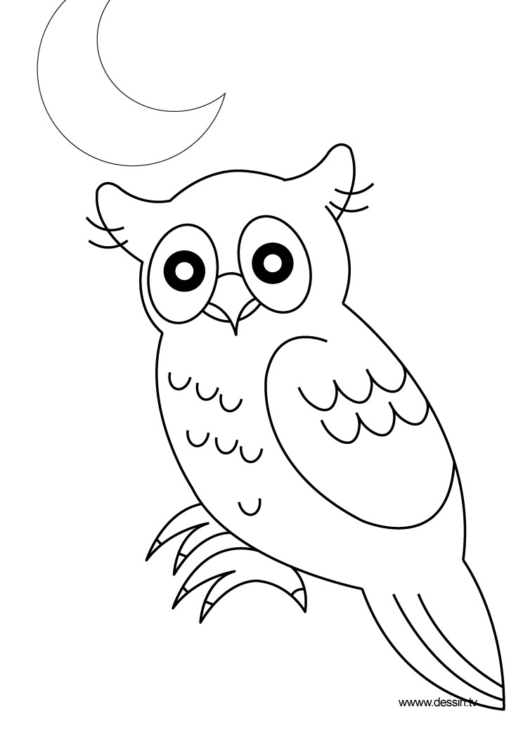 Coloring page: Owl (Animals) #8419 - Free Printable Coloring Pages