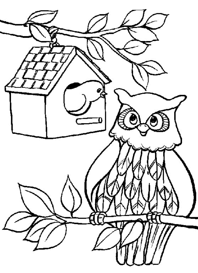 Coloring page: Owl (Animals) #8423 - Free Printable Coloring Pages