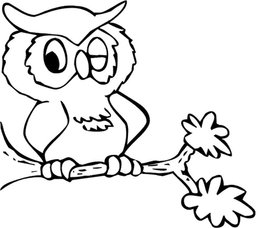 Coloring page: Owl (Animals) #8430 - Free Printable Coloring Pages