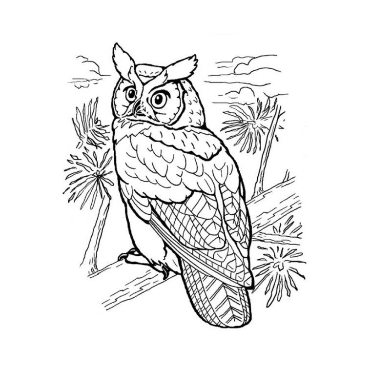 Coloring page: Owl (Animals) #8434 - Free Printable Coloring Pages