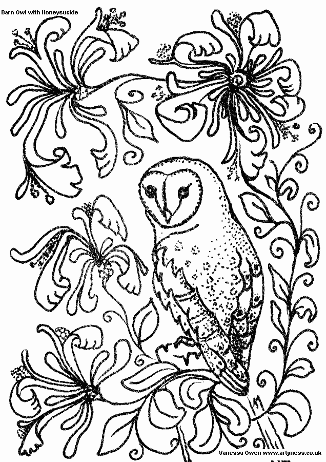 Coloring page: Owl (Animals) #8441 - Free Printable Coloring Pages