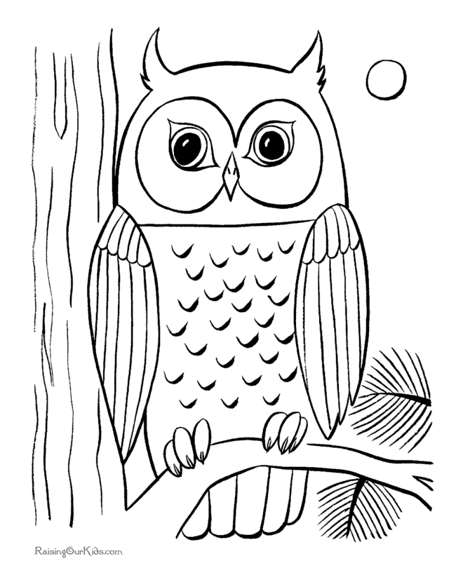 Coloring page: Owl (Animals) #8443 - Free Printable Coloring Pages
