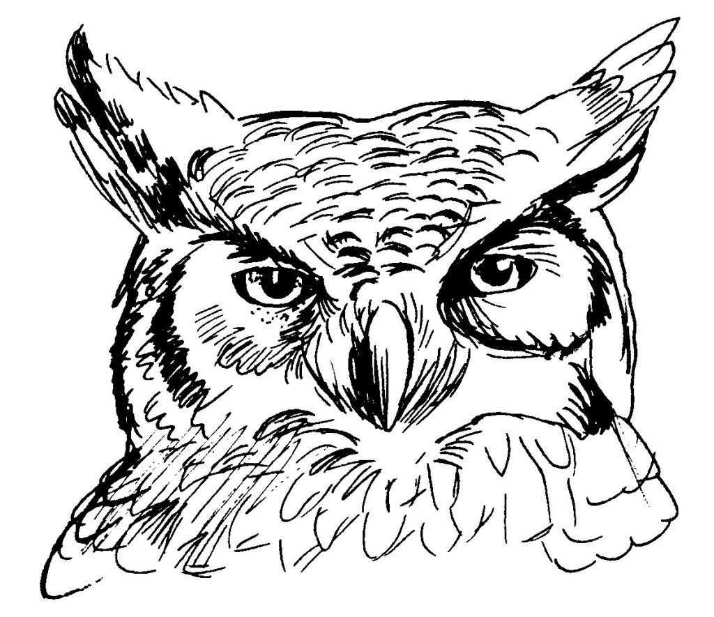 Coloring page: Owl (Animals) #8457 - Free Printable Coloring Pages