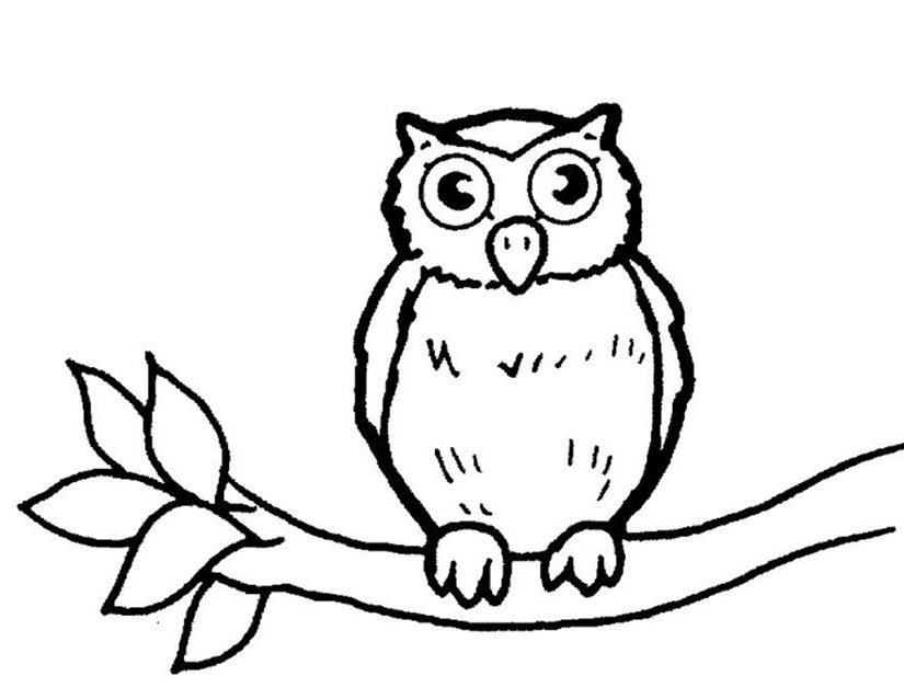 Coloring page: Owl (Animals) #8462 - Free Printable Coloring Pages