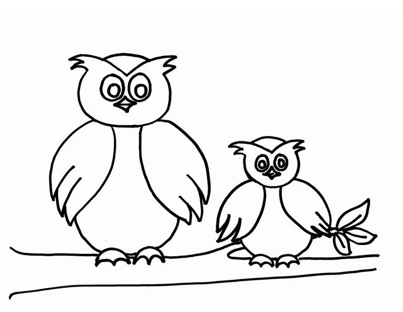 Coloring page: Owl (Animals) #8465 - Free Printable Coloring Pages