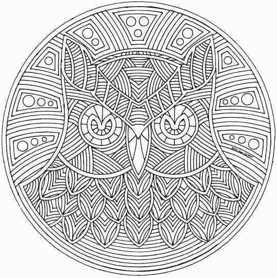 Coloring page: Owl (Animals) #8466 - Free Printable Coloring Pages