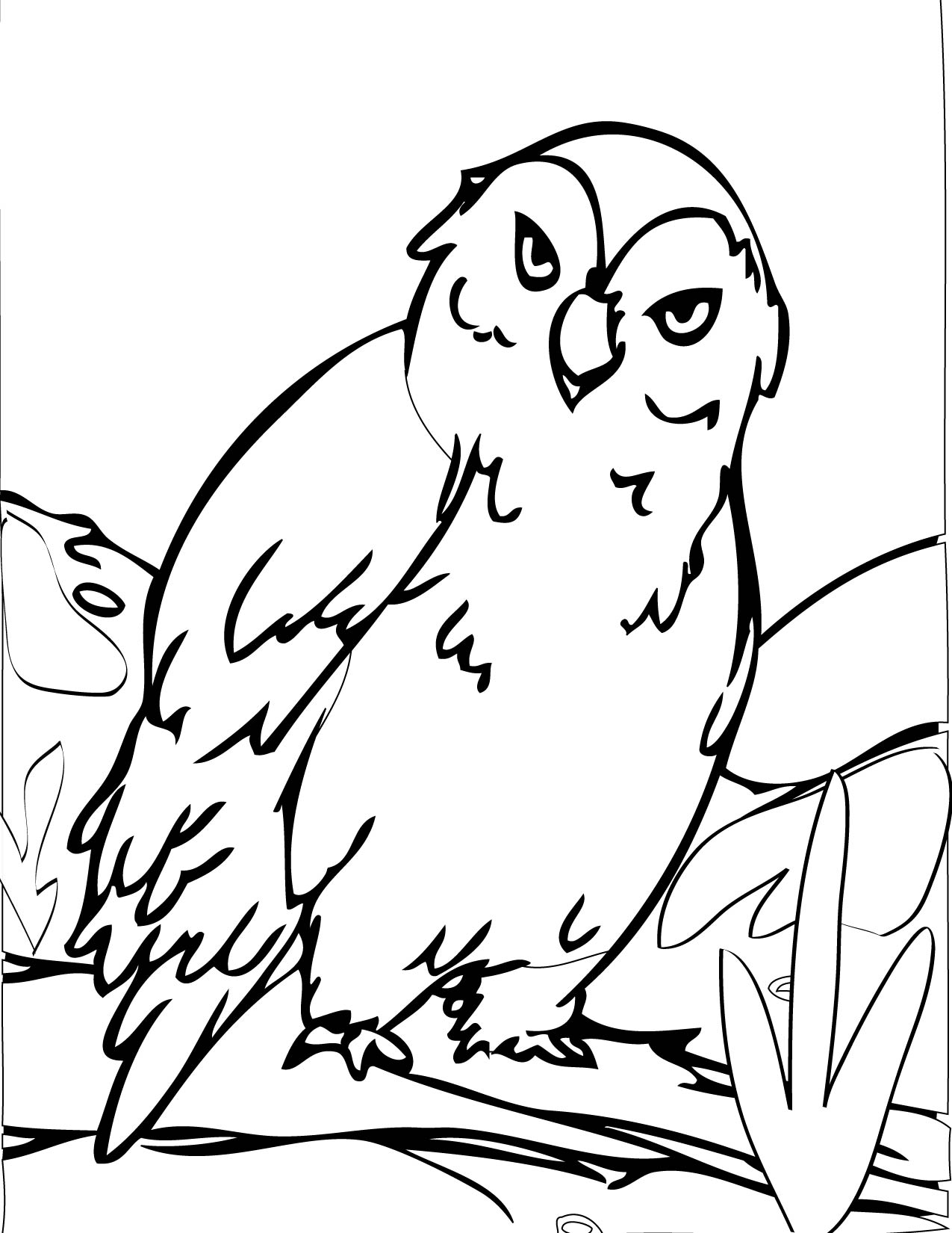 Drawing Owl #8467 (Animals) – Printable coloring pages
