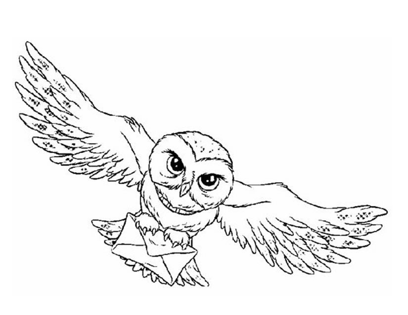 Coloring page: Owl (Animals) #8478 - Free Printable Coloring Pages