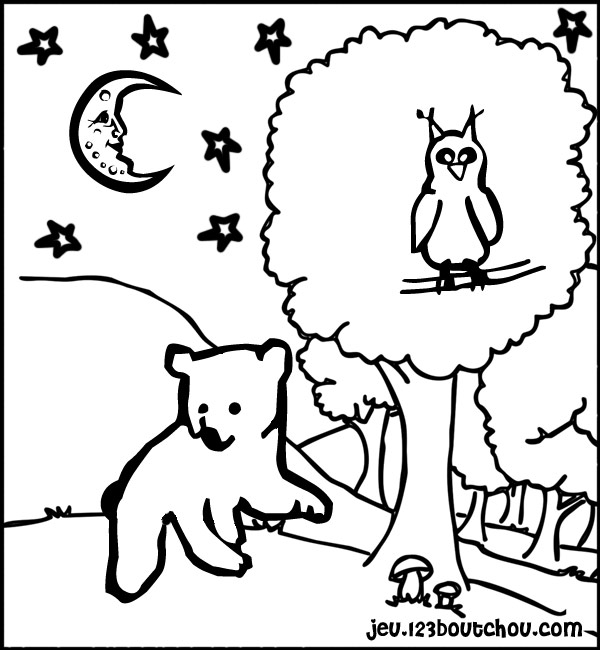 Coloring page: Owl (Animals) #8494 - Free Printable Coloring Pages
