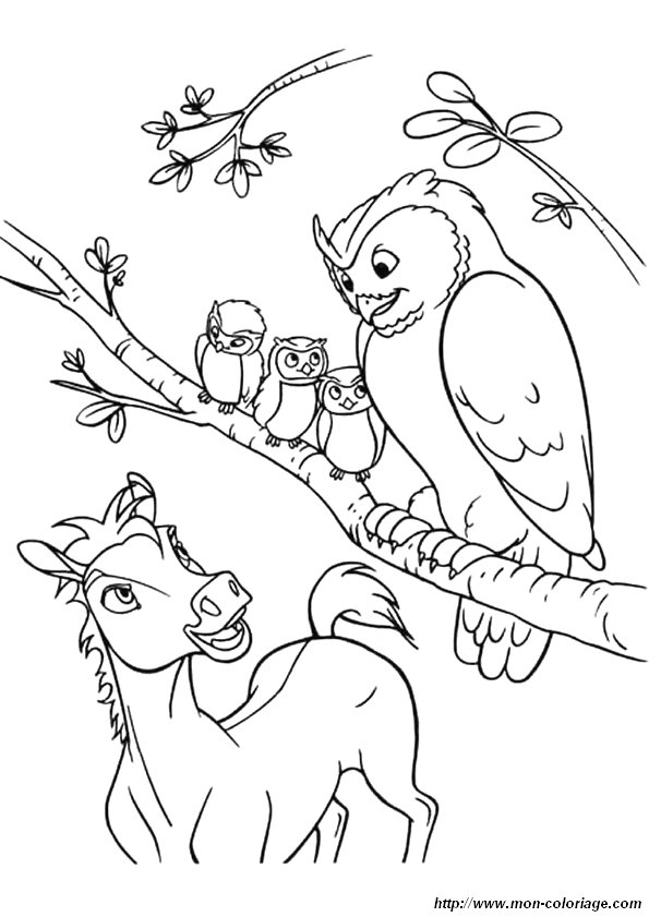 Coloring page: Owl (Animals) #8495 - Free Printable Coloring Pages