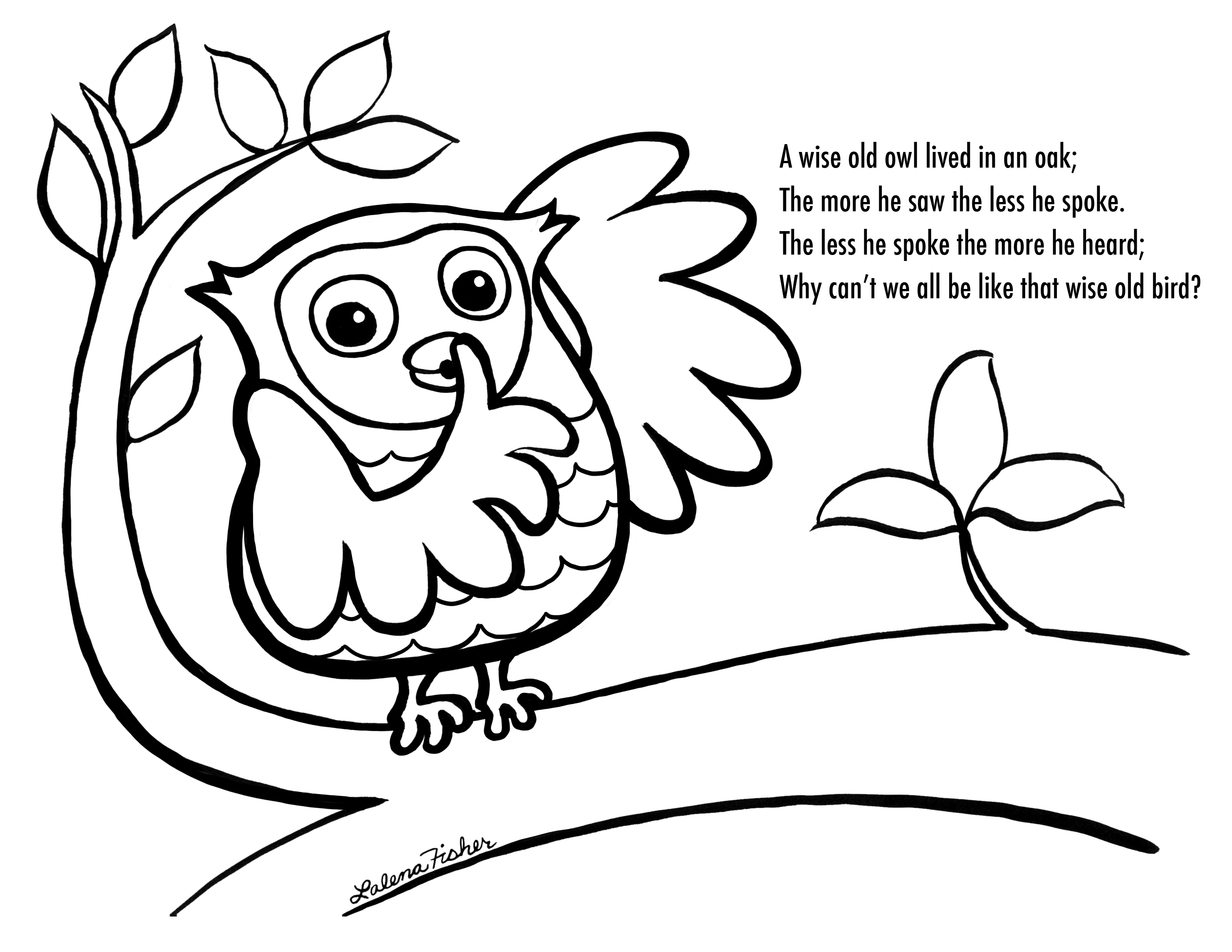 Drawing Owl 20 Animals – Printable coloring pages
