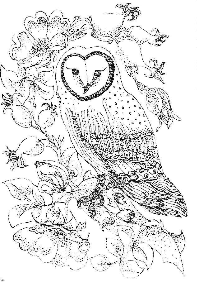 Coloring page: Owl (Animals) #8505 - Free Printable Coloring Pages