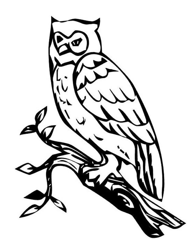 Coloring page: Owl (Animals) #8514 - Free Printable Coloring Pages