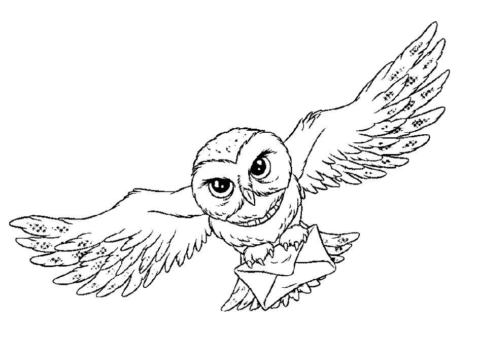 Coloring page: Owl (Animals) #8528 - Free Printable Coloring Pages