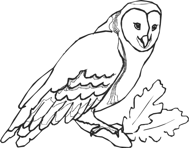 Coloring page: Owl (Animals) #8534 - Free Printable Coloring Pages
