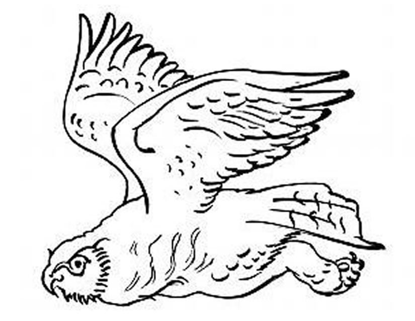 Coloring page: Owl (Animals) #8545 - Free Printable Coloring Pages