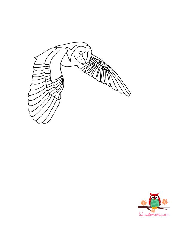 Coloring page: Owl (Animals) #8552 - Free Printable Coloring Pages