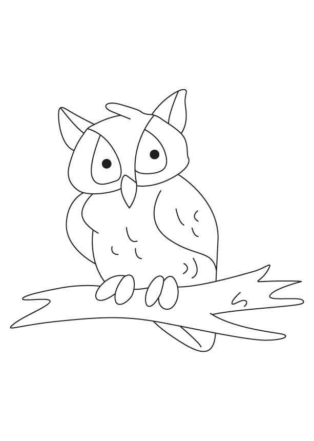 Coloring page: Owl (Animals) #8554 - Free Printable Coloring Pages