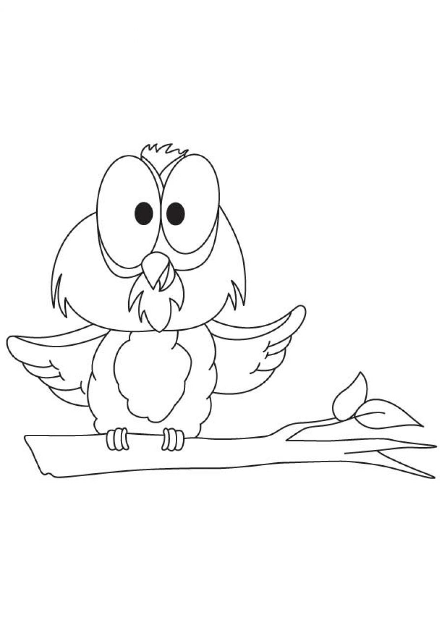 Coloring page: Owl (Animals) #8562 - Free Printable Coloring Pages